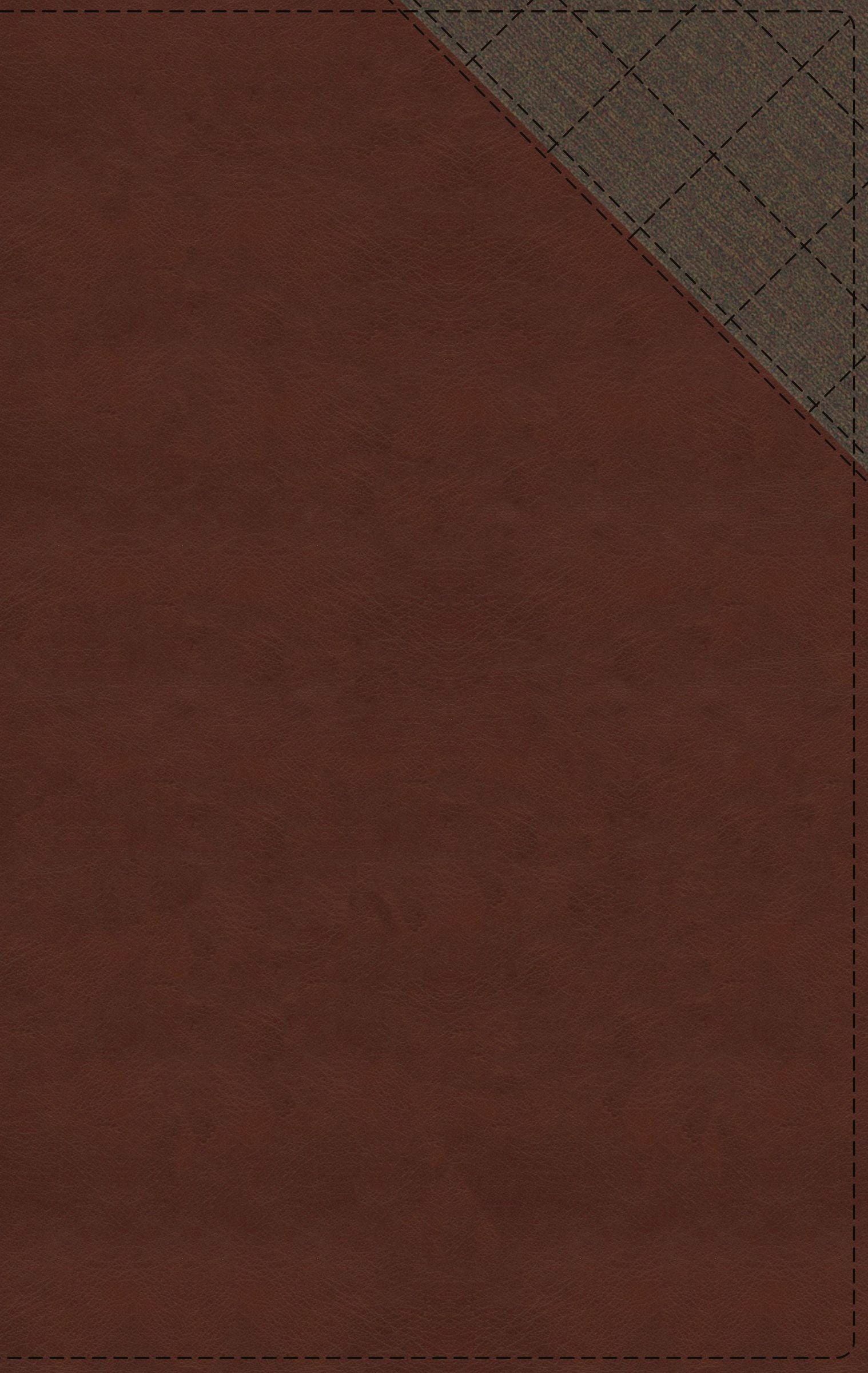 NIV Thinline Bible Brown (Red Letter Edition)