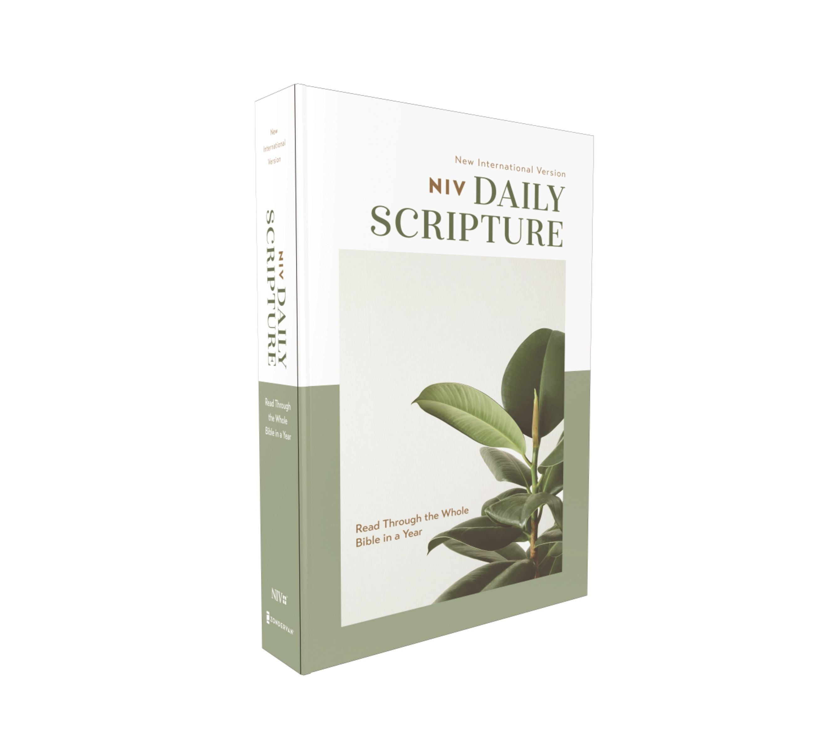NIV Daily Scripture Bible, White / Sage