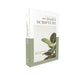 NIV Daily Scripture Bible, White / Sage