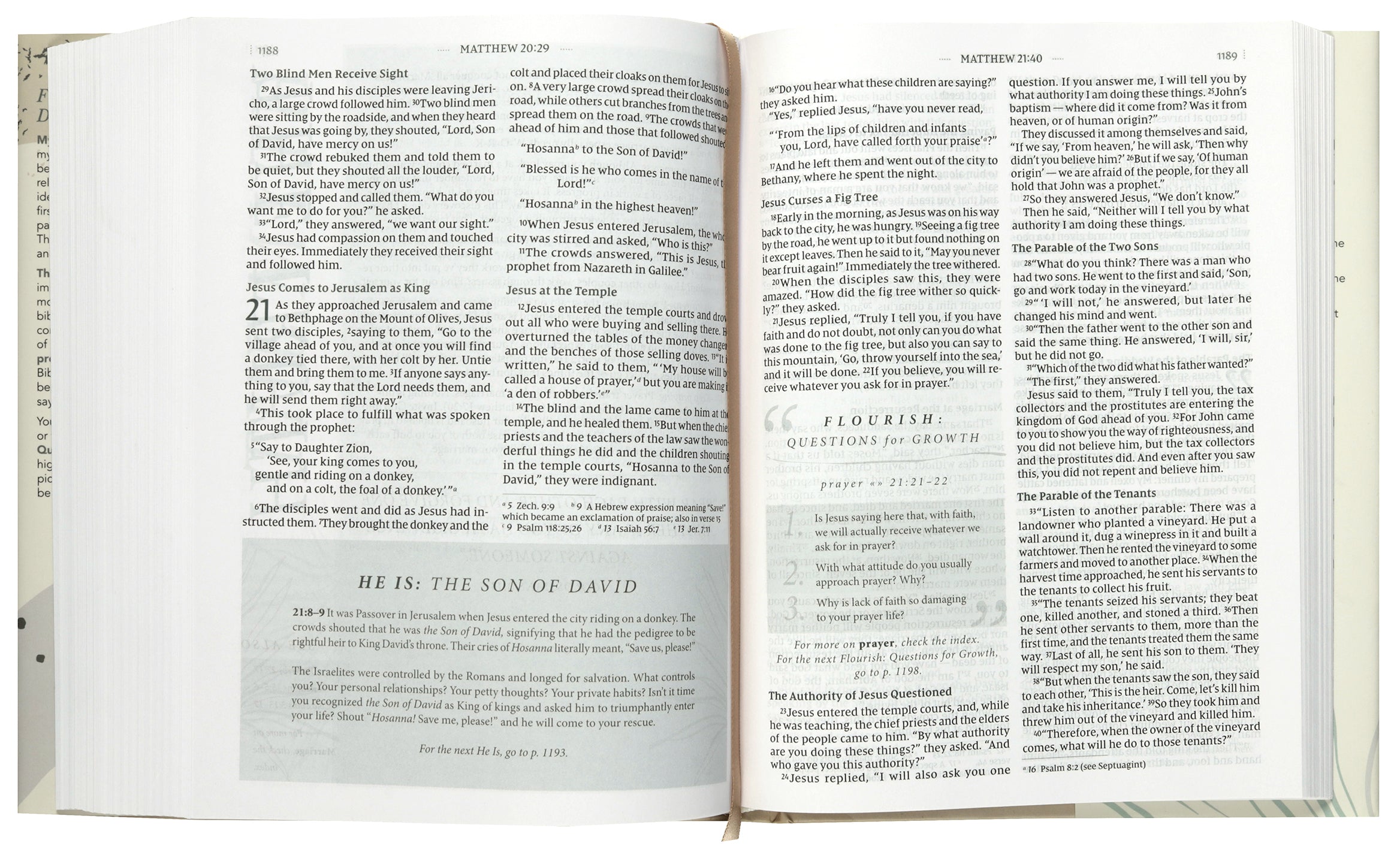 NIV Flourish Bible For Women Cream