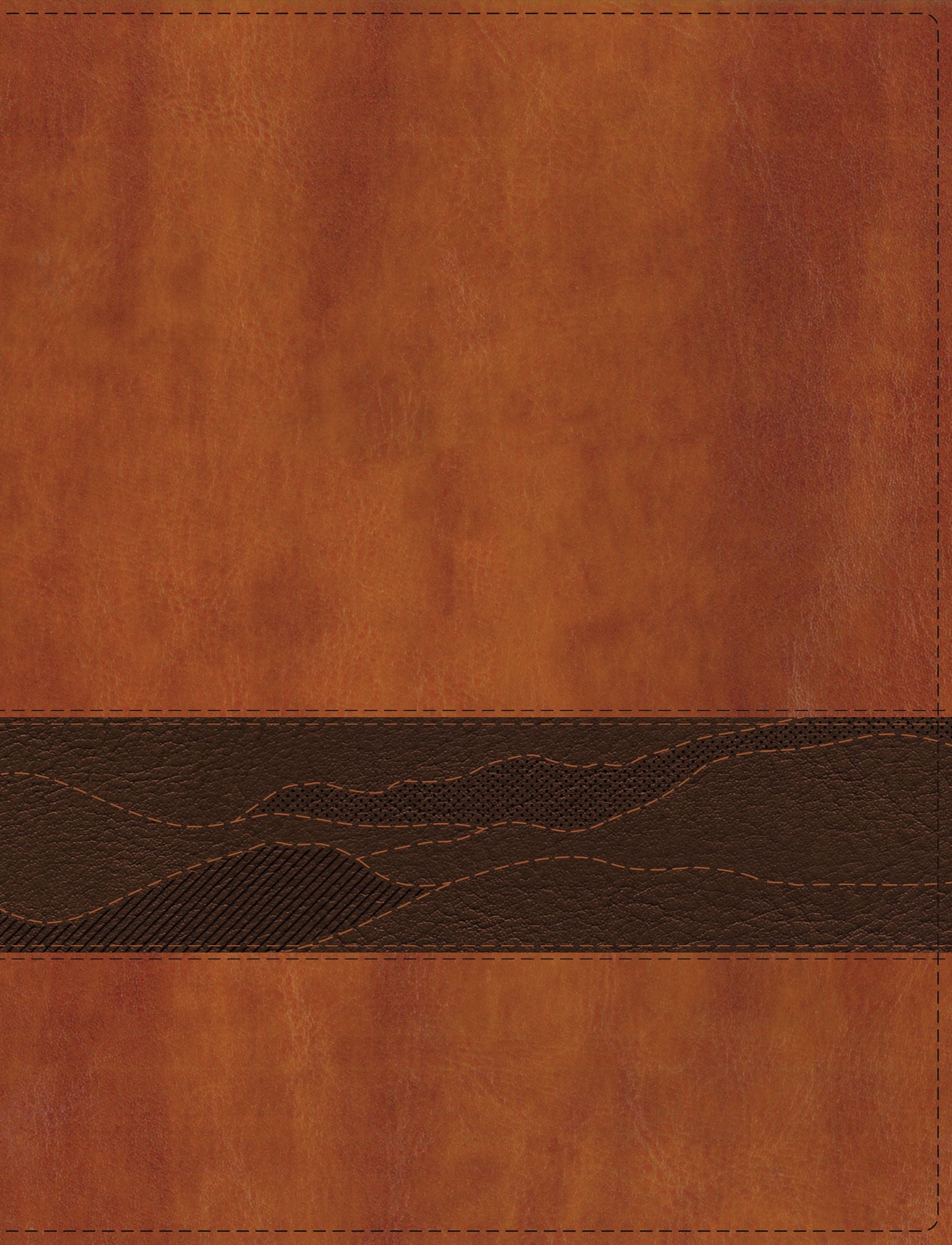 NIV Rooted: Bible For Men Brown Indexed