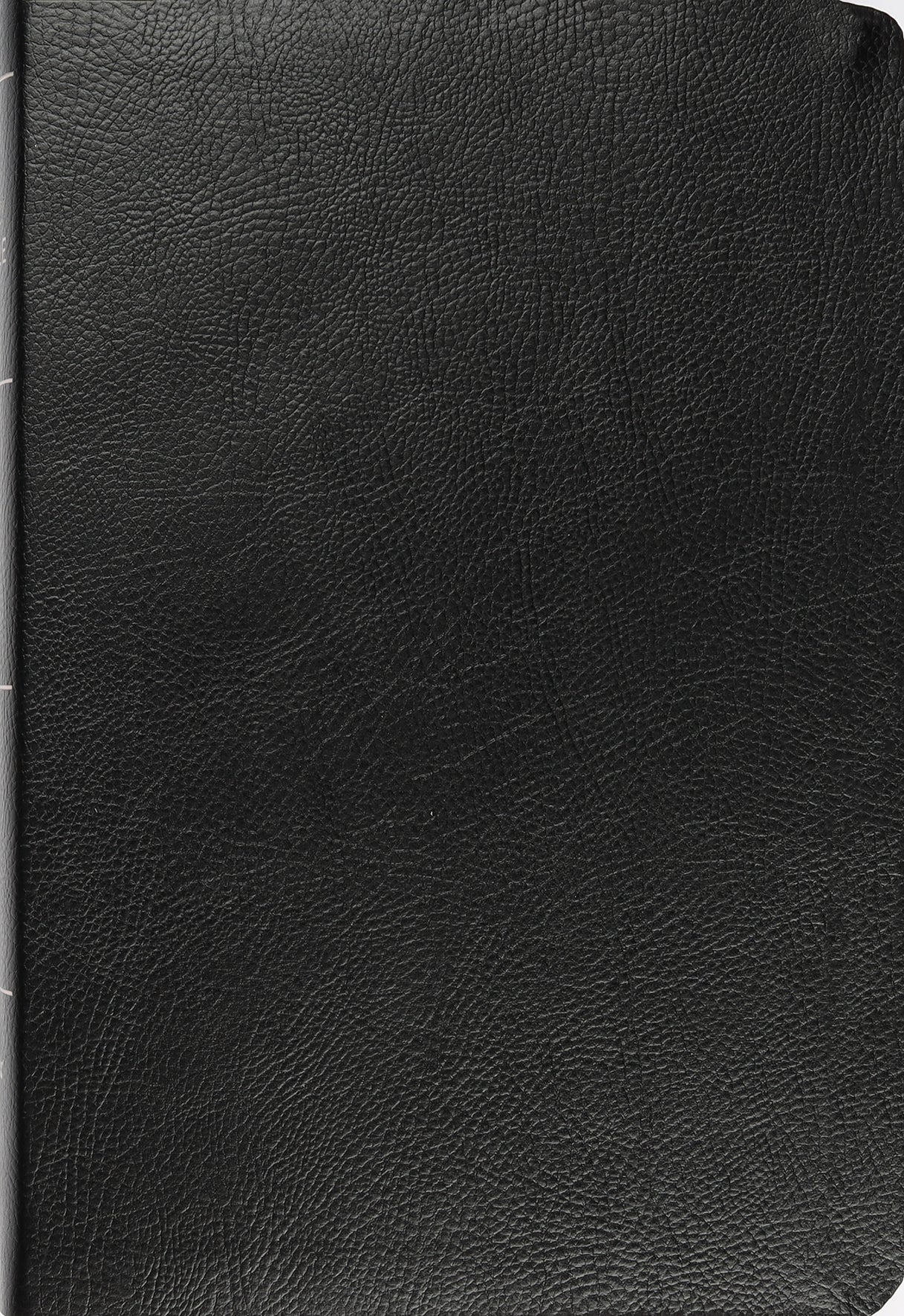 NIV Thinline Reference Bible Large Print Black (Red Letter Edition)