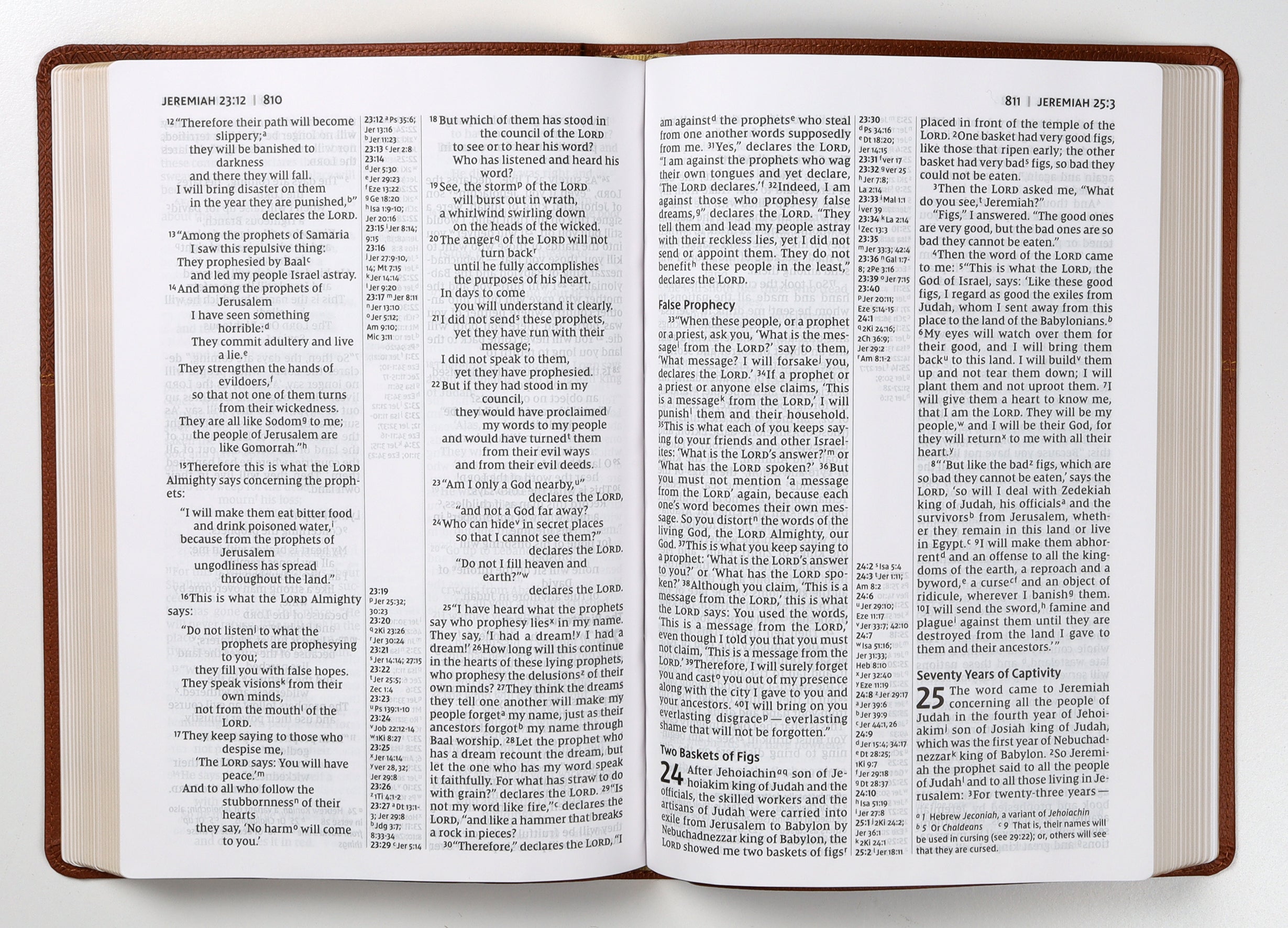 NIV Thinline Reference Bible Large Print Brown (Red Letter Edition)