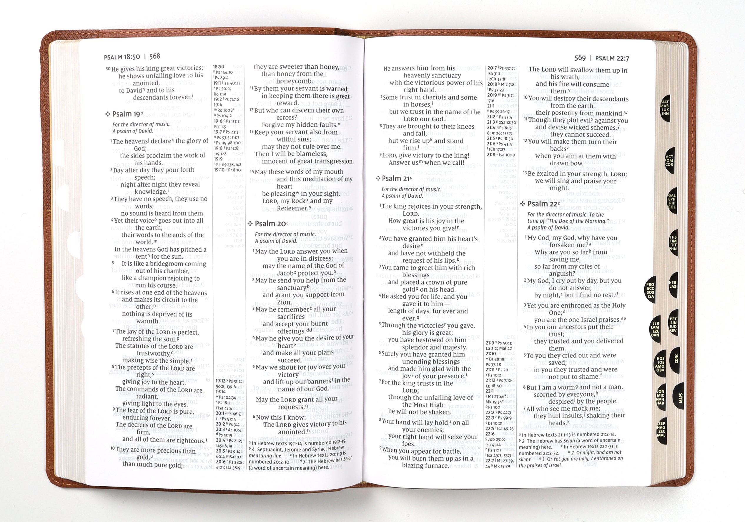 NIV Thinline Reference Bible Large Print Brown Thumb Indexed (Red Letter Edition)
