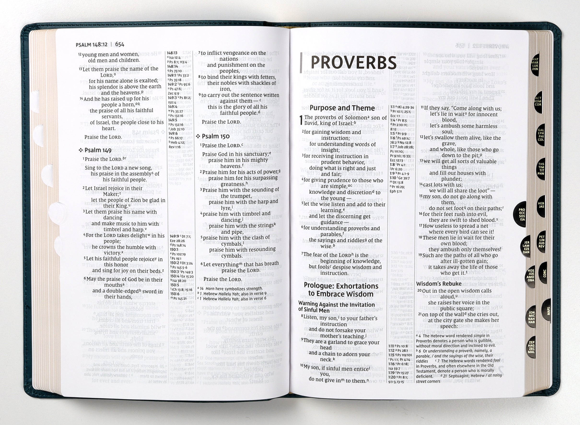 NIV Thinline Reference Bible Large Print Teal Thumb Indexed (Red Letter Edition)