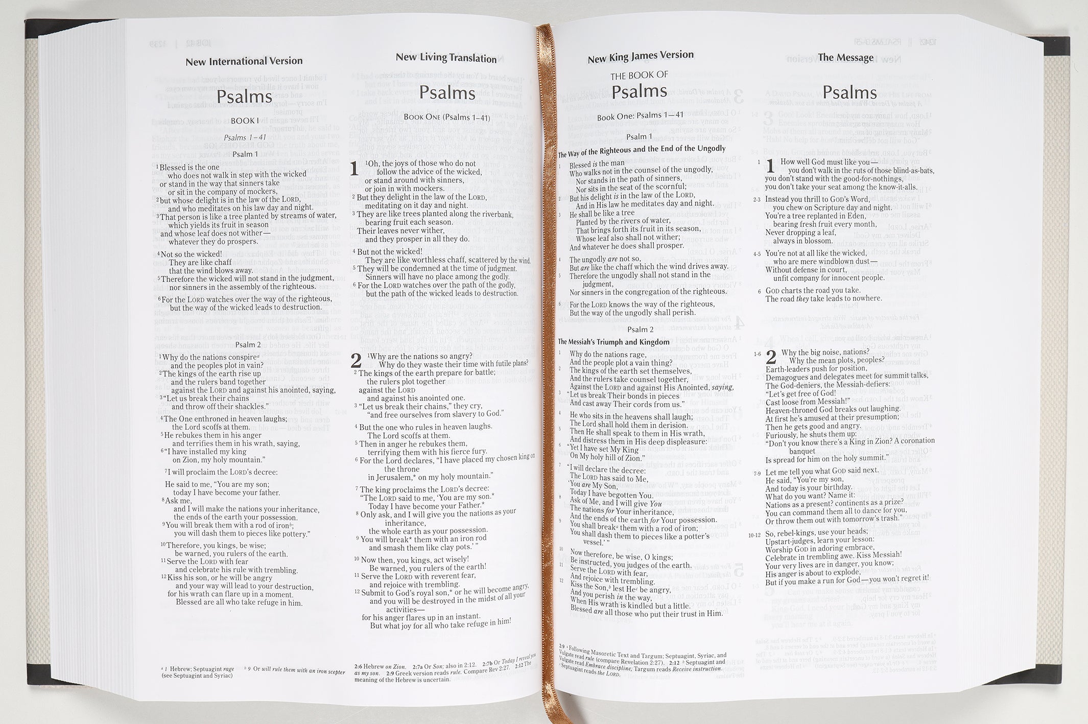 NIV, NKJV, NLT, the Message, Contemporary Comparative Parallel Bible