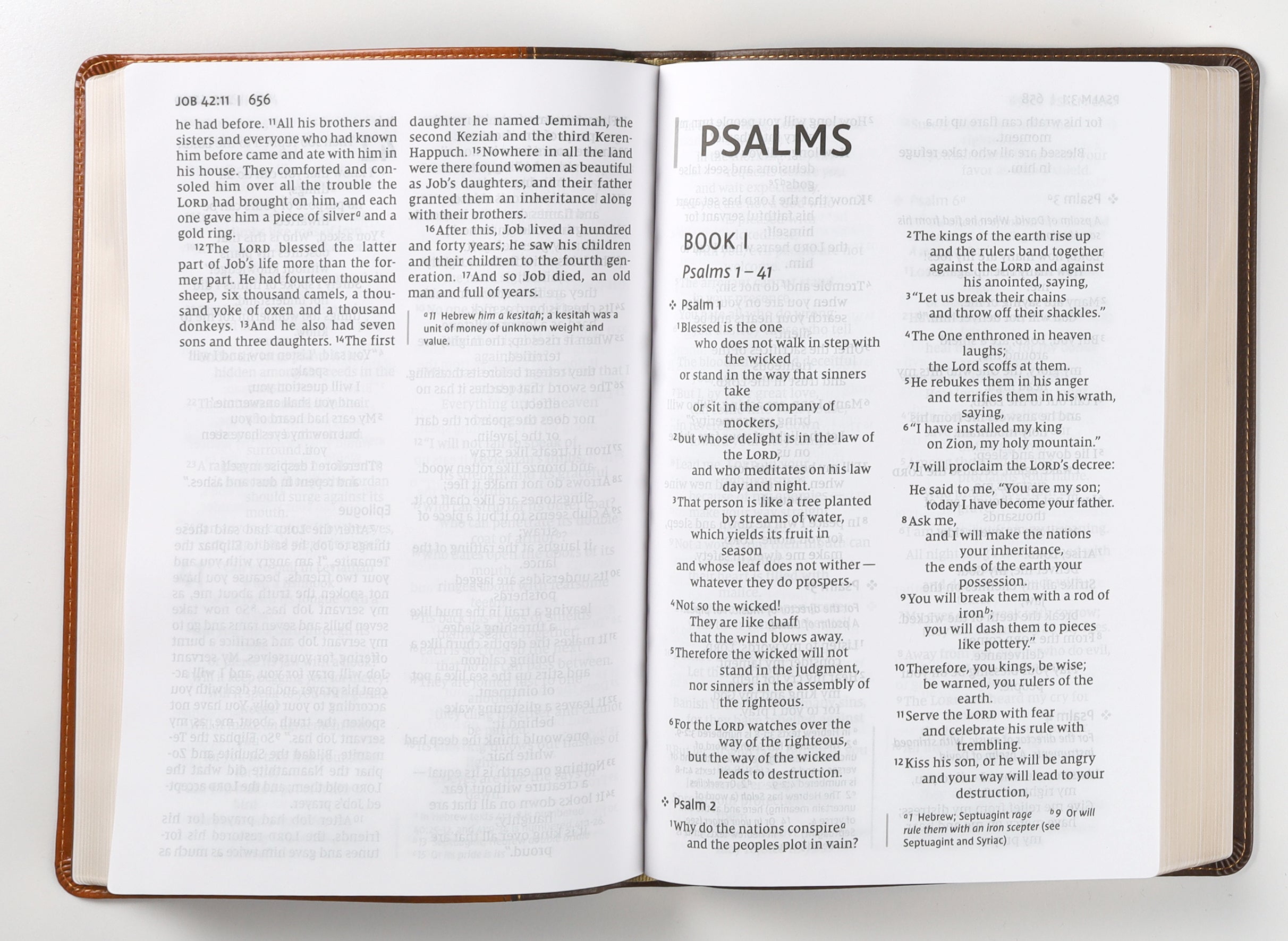 NIV Thinline Bible Giant Print Brown (Red Letter Edition)