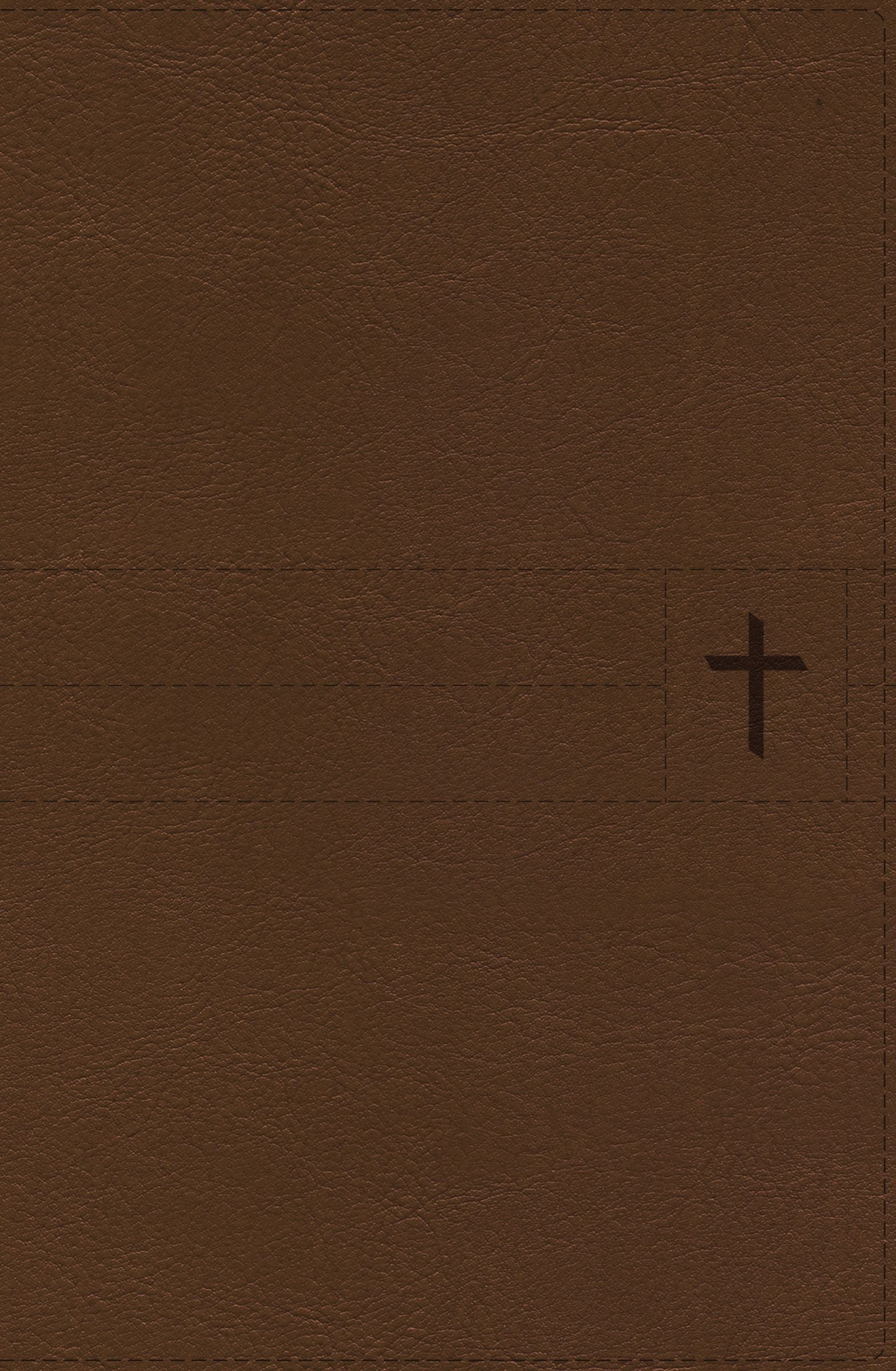 NIV Thinline Bible Compact Brown (Red Letter Edition)