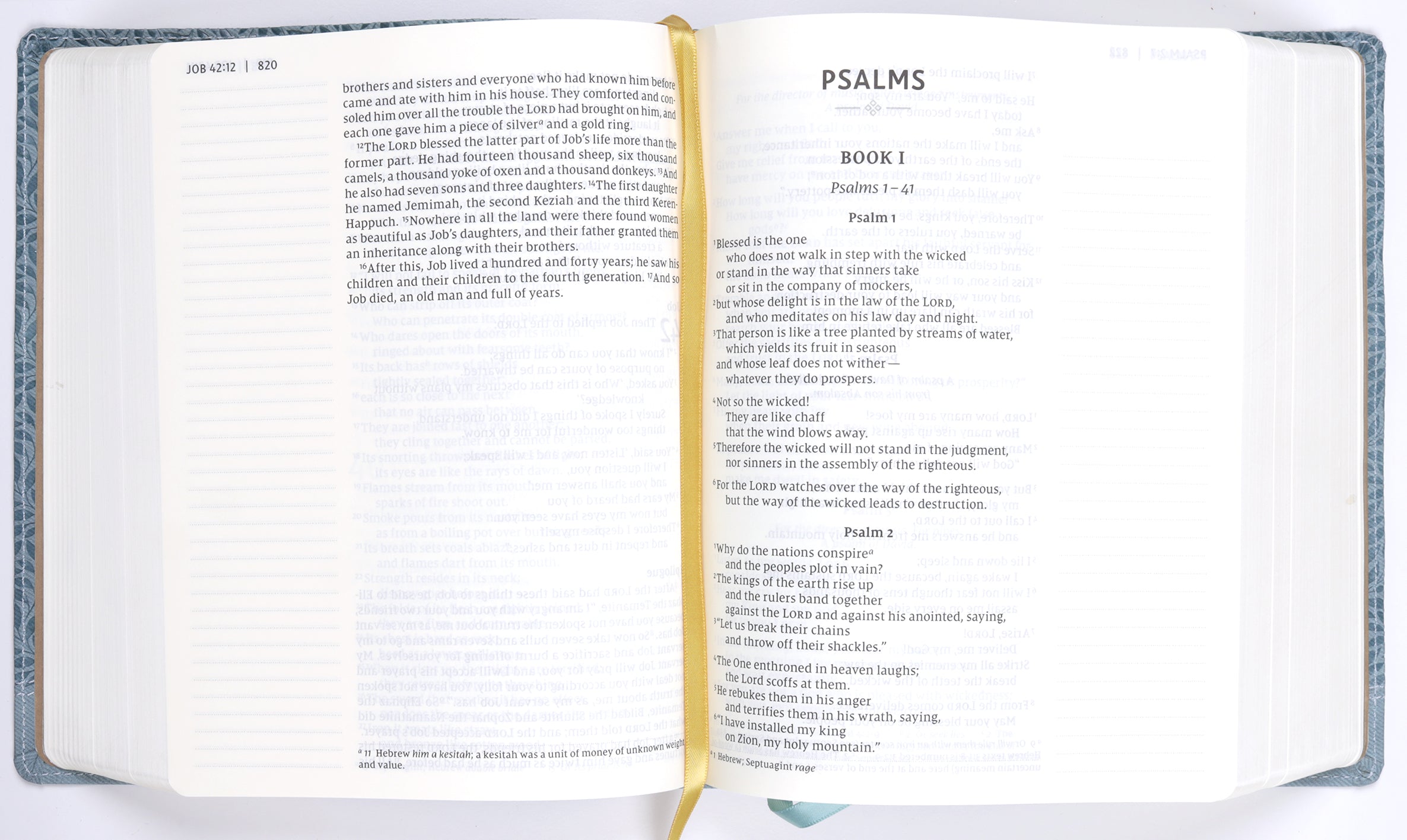 NIV Journal the Word Bible Large Print Teal (Red Letter Edition)