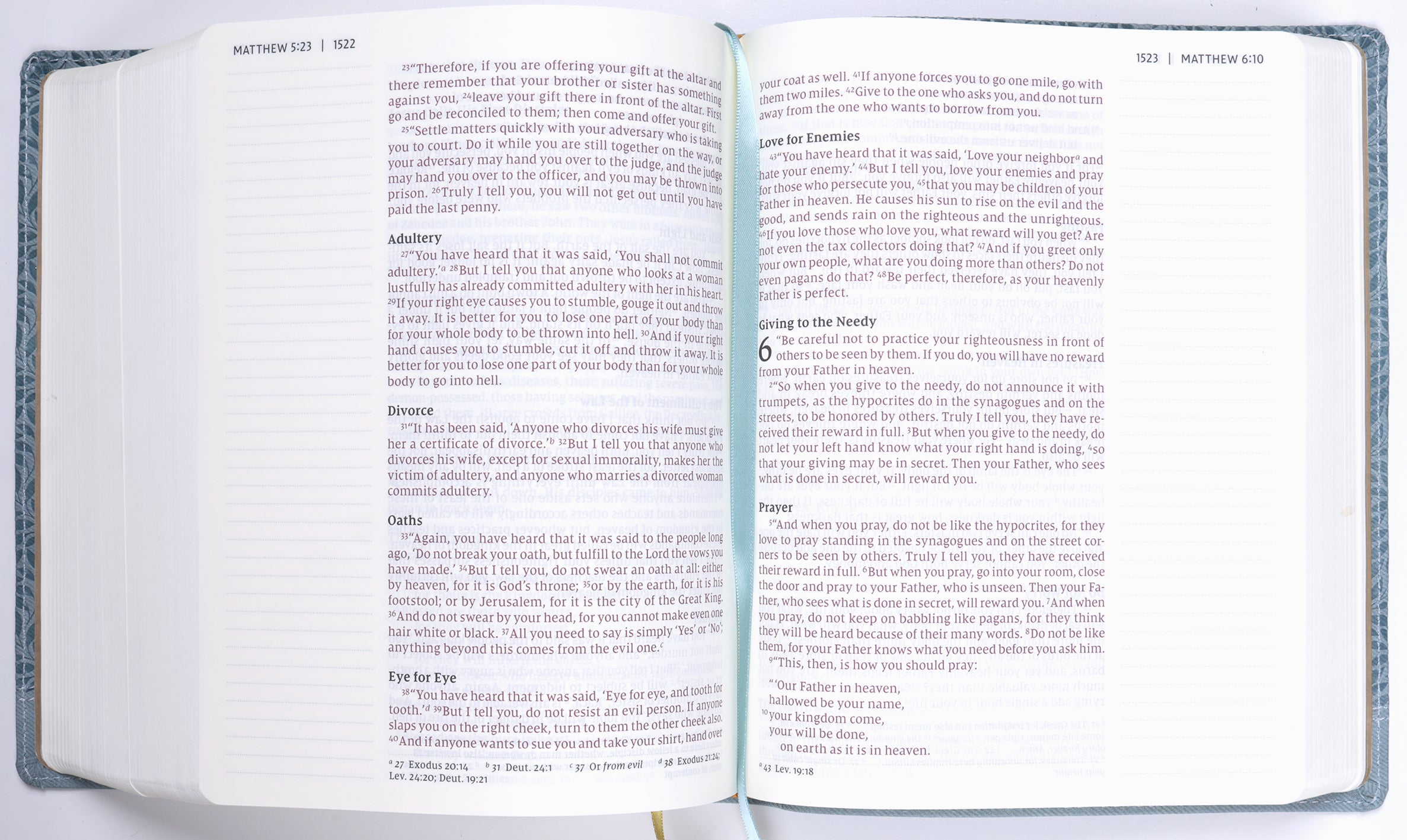 NIV Journal the Word Bible Large Print Teal (Red Letter Edition)