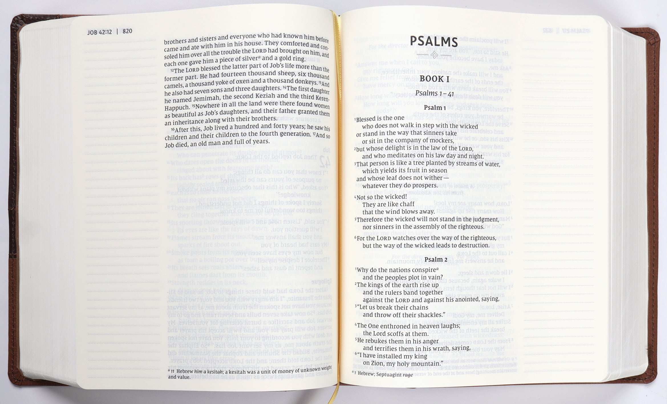 NIV Journal the Word Bible Large Print Brown (Red Letter Edition)
