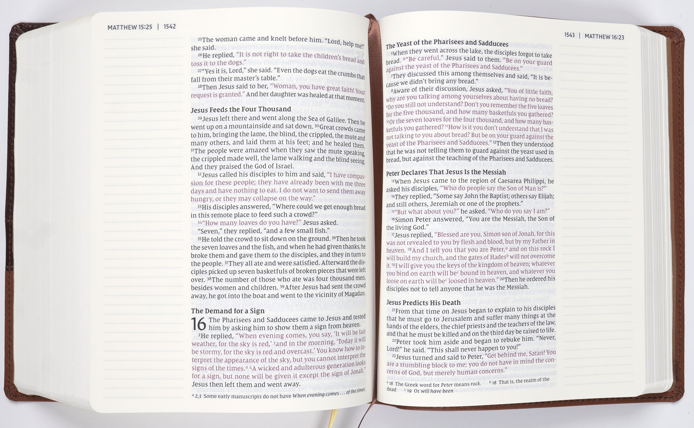 NIV Journal the Word Bible Large Print Brown (Red Letter Edition)
