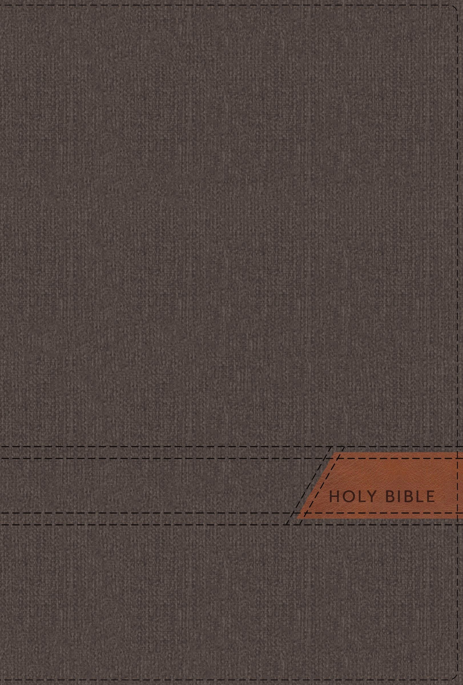 NIV Thinline Bible Large Print Gray Cloth Flexcover (Red Letter Edition)