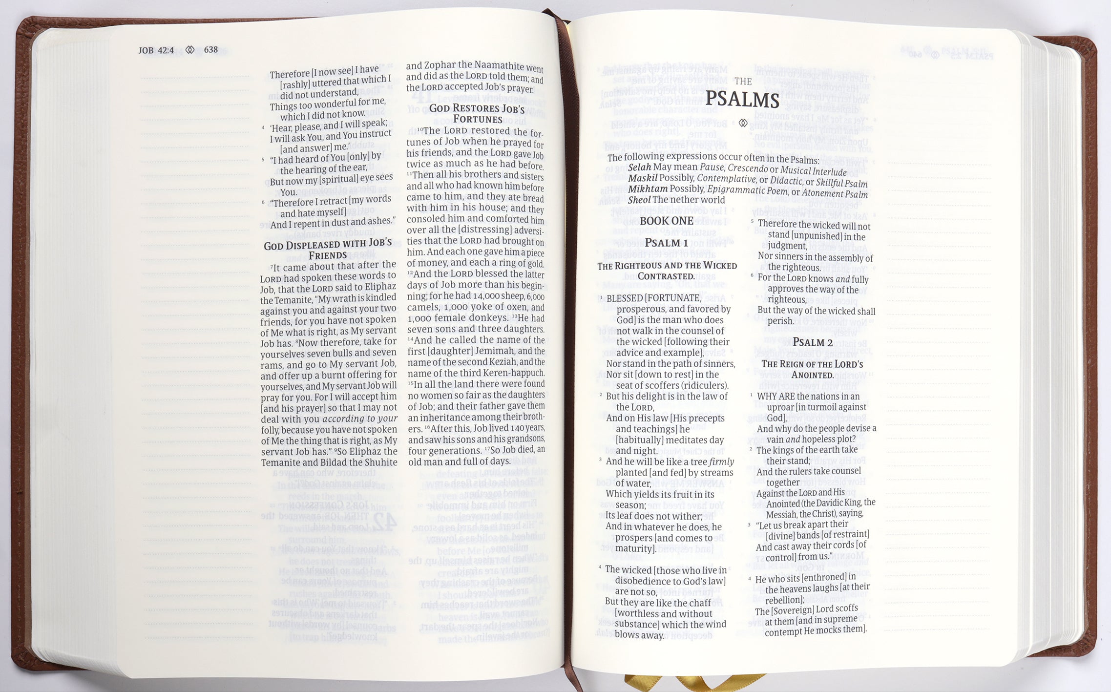 Amplified Journal the Word Bible Brown