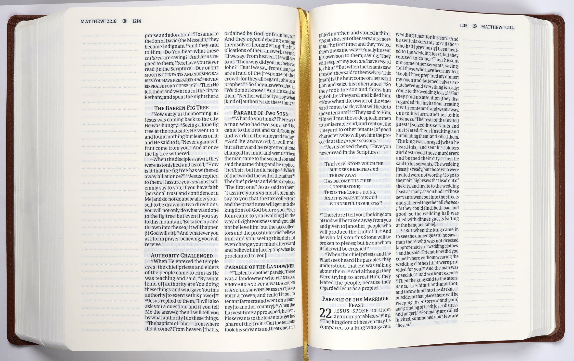 Amplified Journal the Word Bible Brown