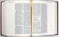 Amplified Journal the Word Bible Brown