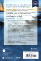 NIV Holy Bible, Larger Print, Economy Edition, Blue