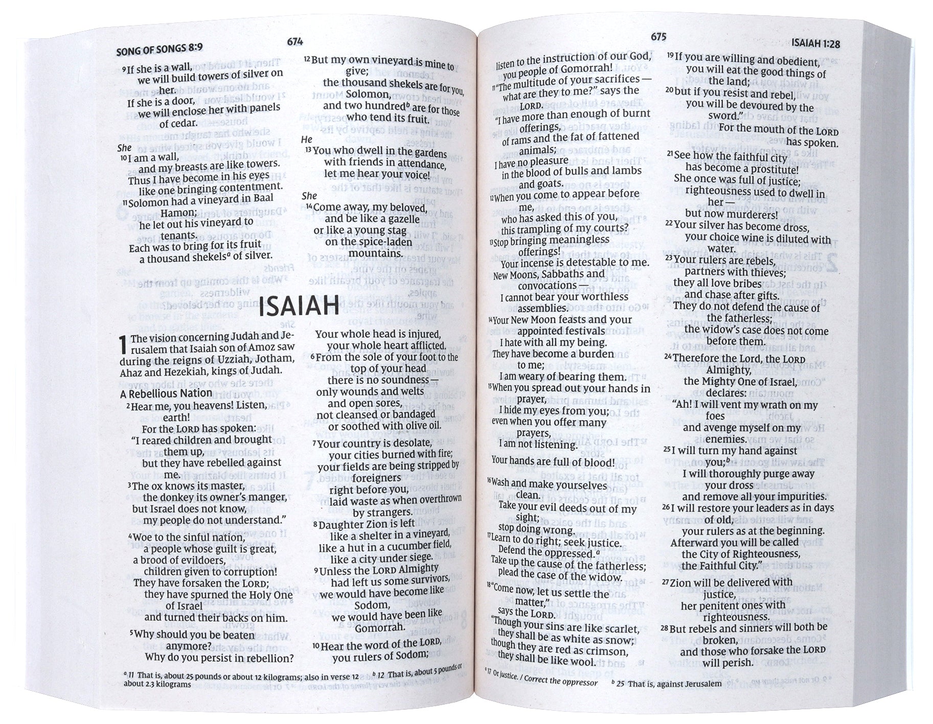 NIV Holy Bible, Larger Print, Economy Edition, Blue