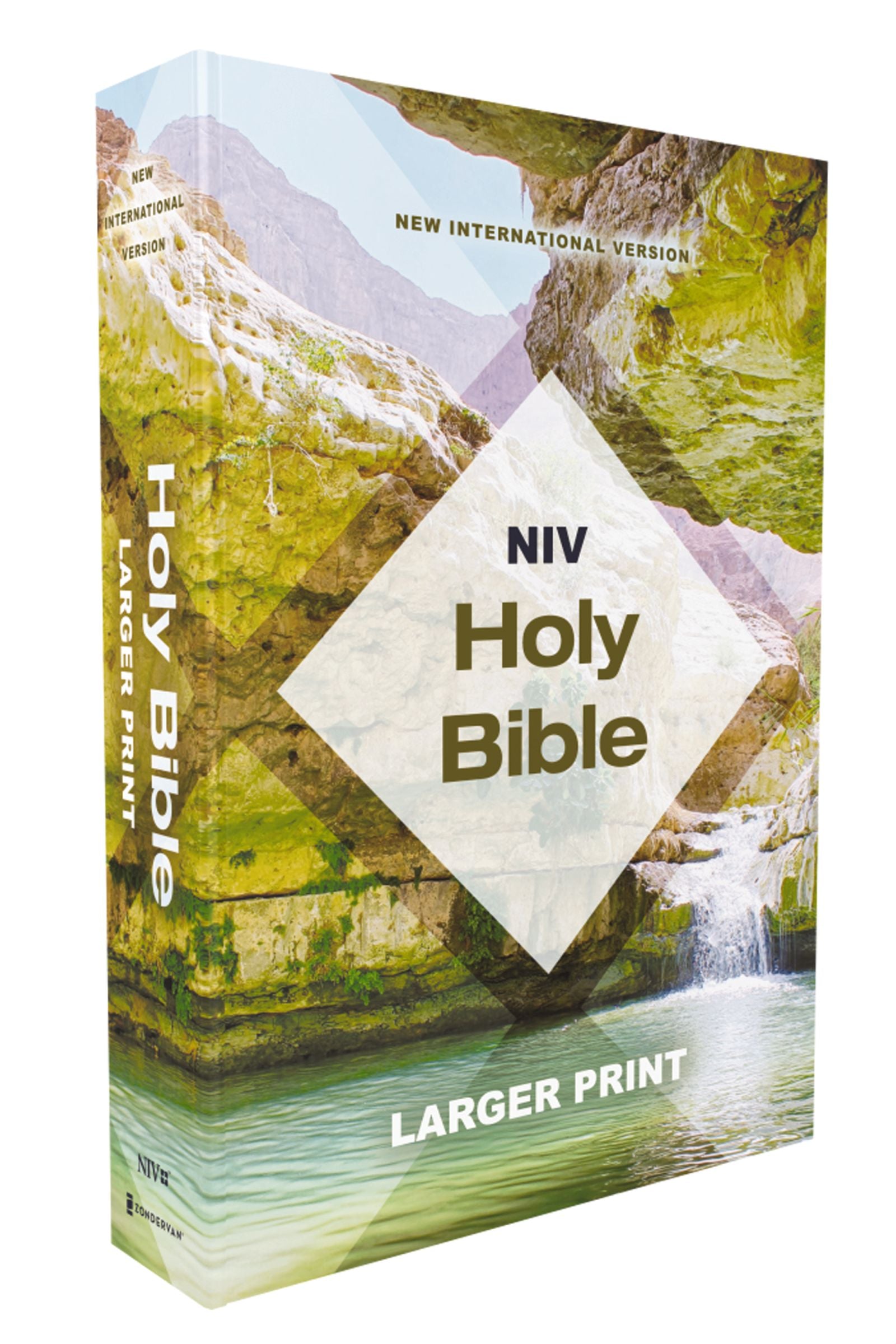 NIV Holy Bible, Larger Print, Economy Edition, Teal/Tan