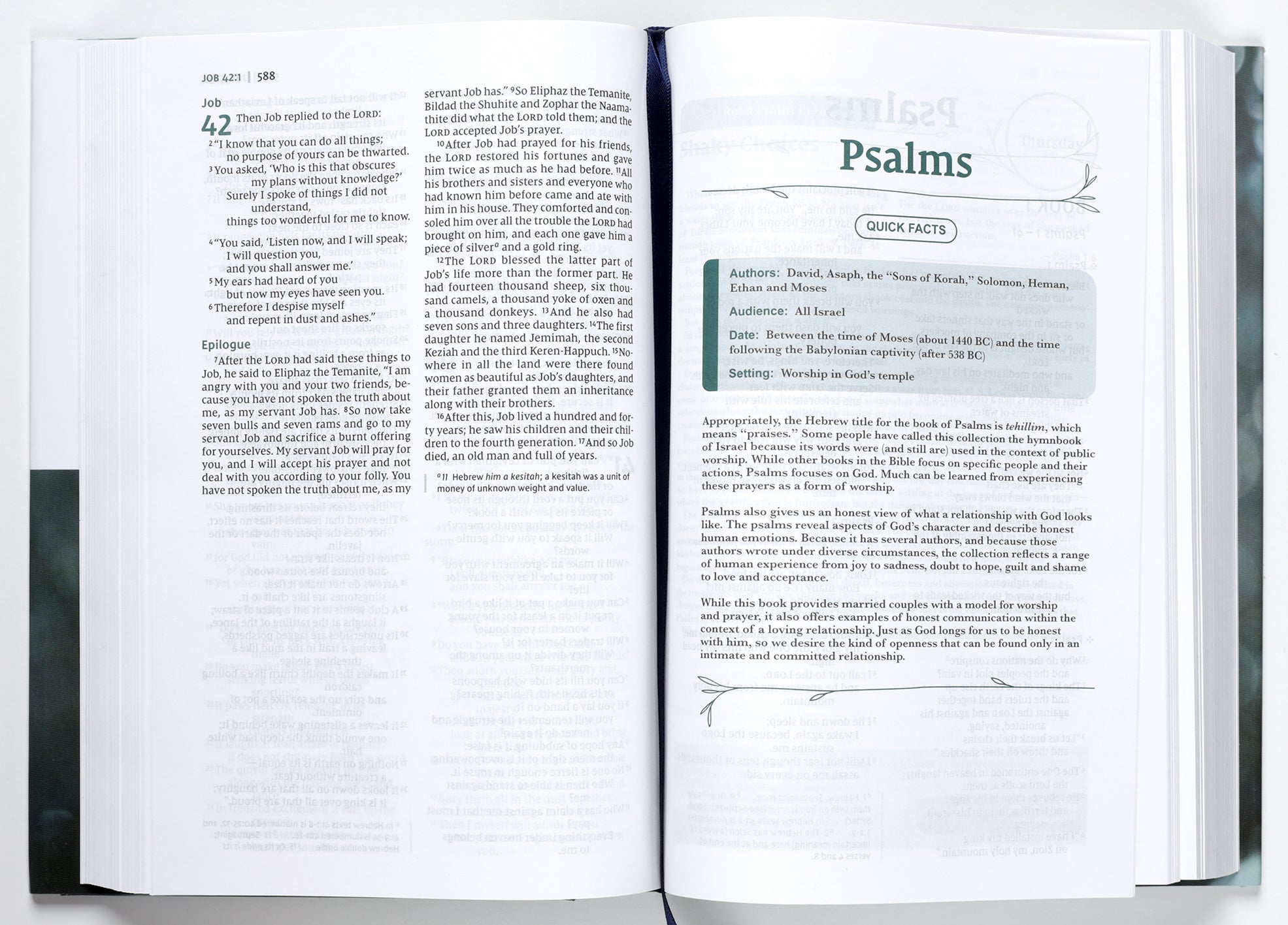 NIV Couples' Devotional Bible Growing Together in Christ