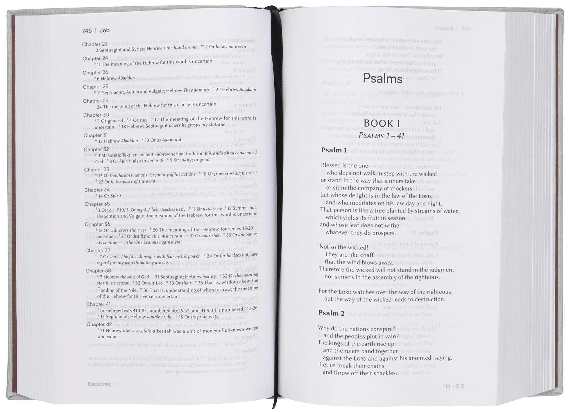 NIV Lectio Bible: A simple, ancient way to read the library of Scripture (Black Letter Edition)