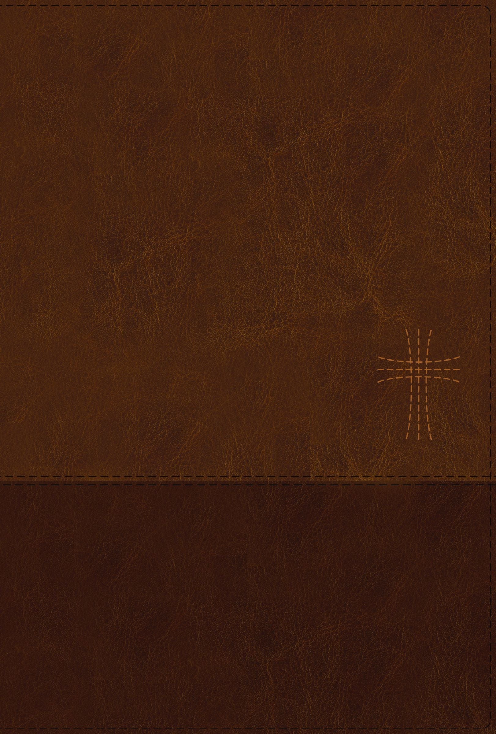 NIV Thinline Bible, Large Print, Brown, Zippered (Red Letter Edition)