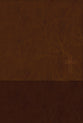 NIV Thinline Bible, Large Print, Brown, Zippered (Red Letter Edition)