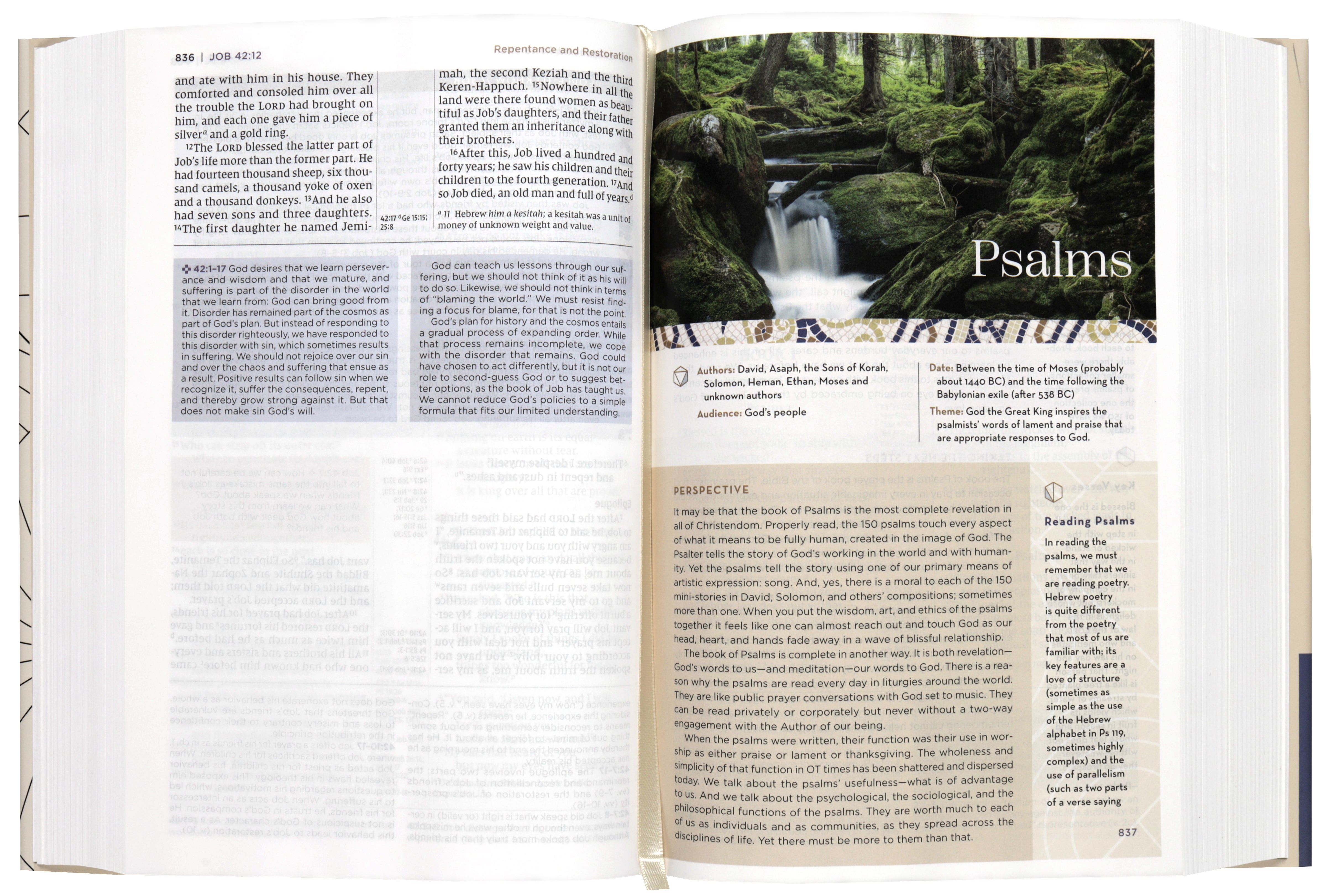NIV Application Bible, Black (Red Letter Edition)