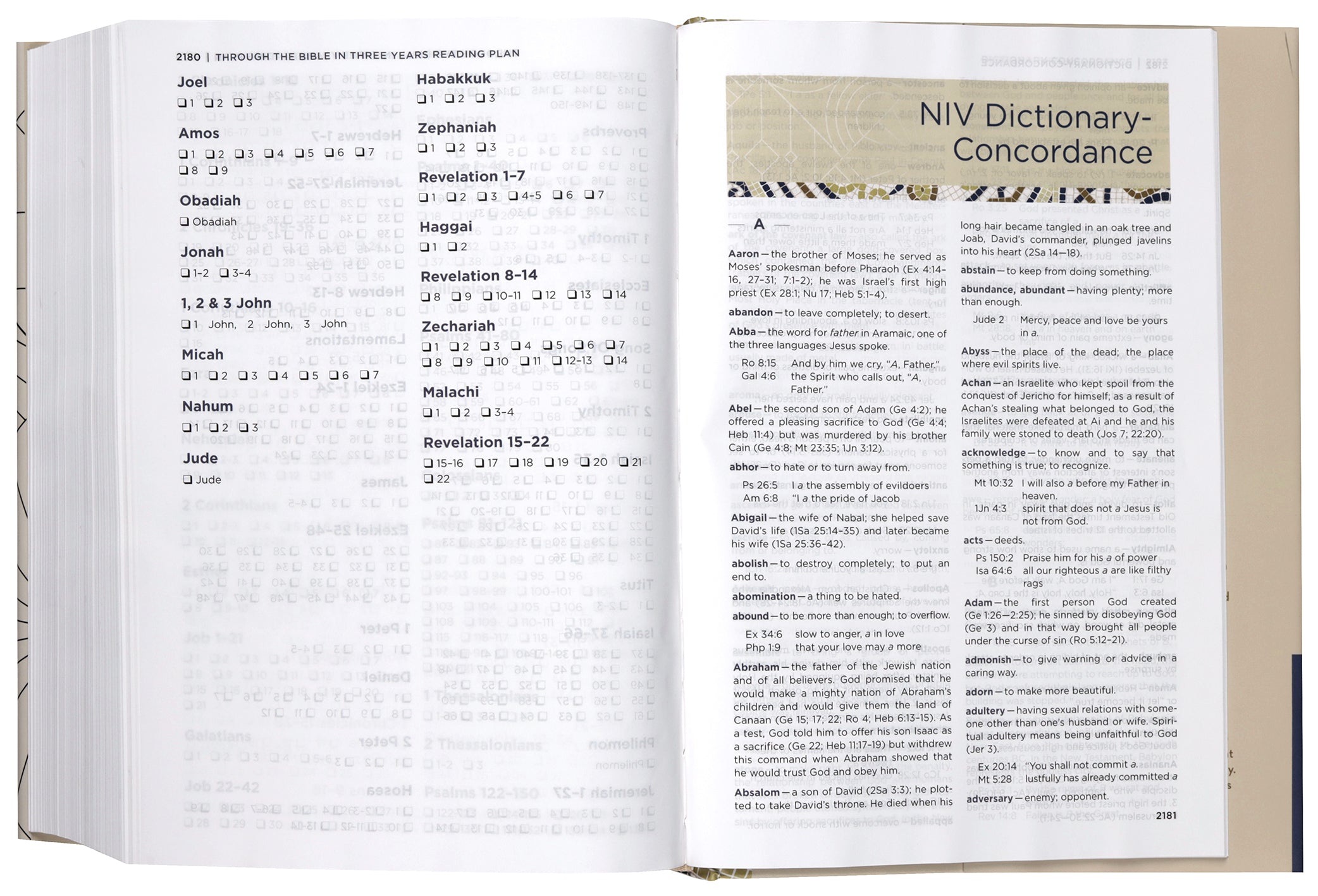 NIV Application Bible, Brown (Red Letter Edition)