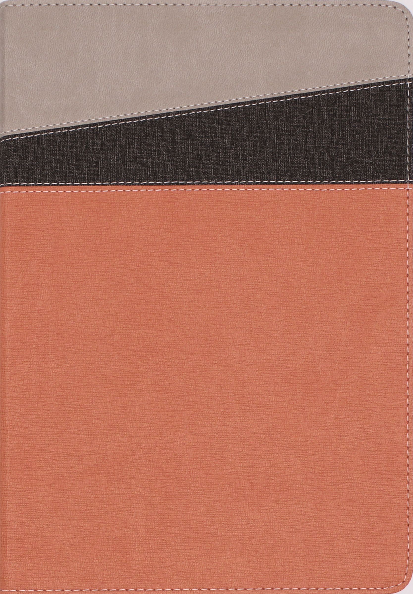 NIV Application Bible, Coral/Gray (Red Letter Edition)
