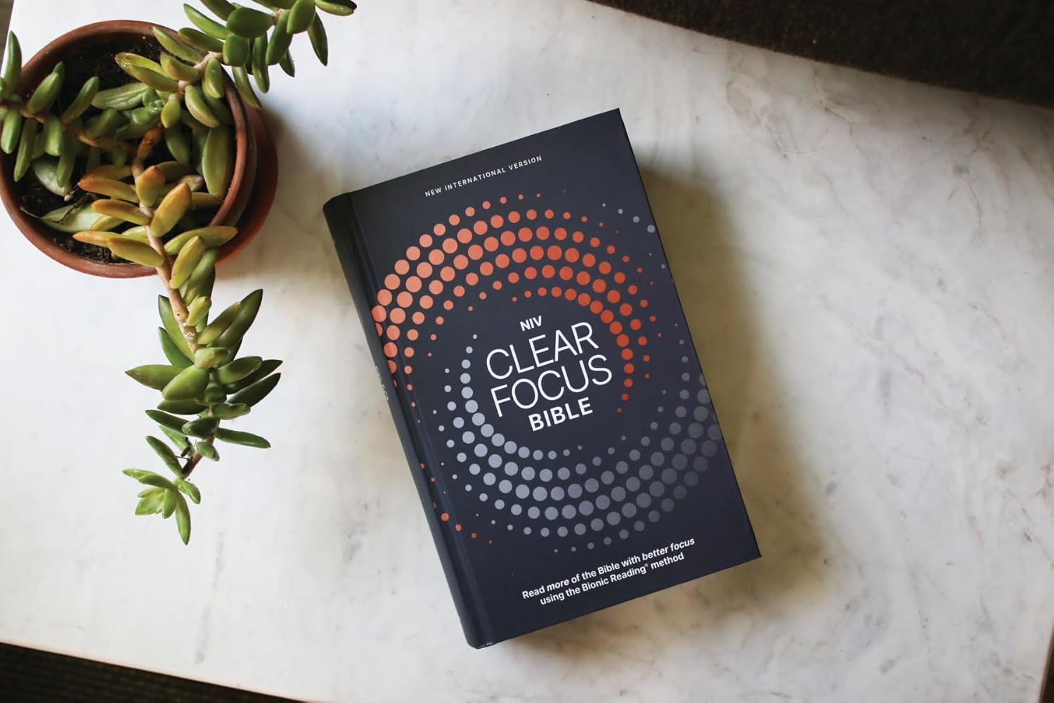 NIV Clear Focus Bible, Charcoal/Copper