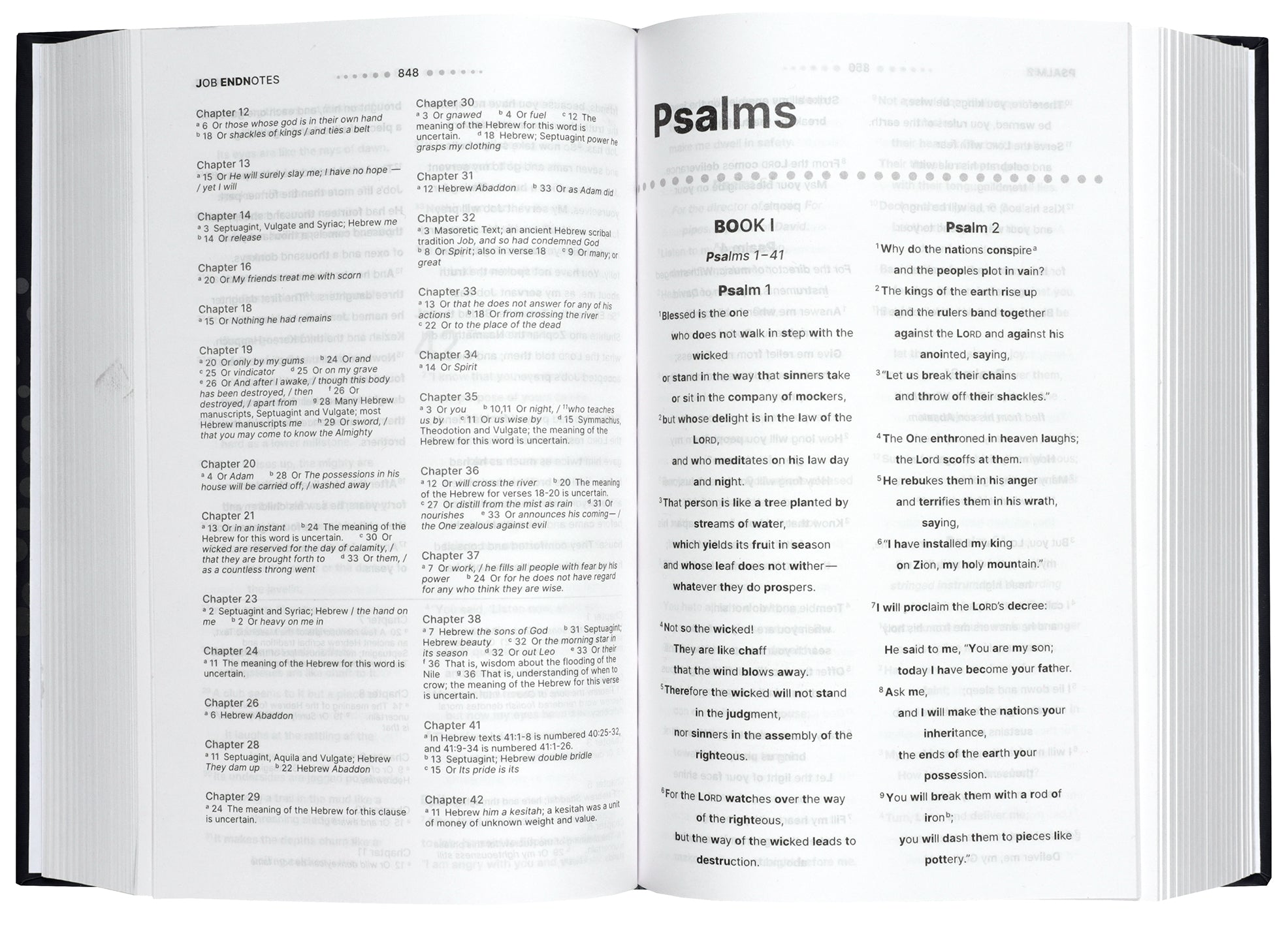 NIV Clear Focus Bible, Brown