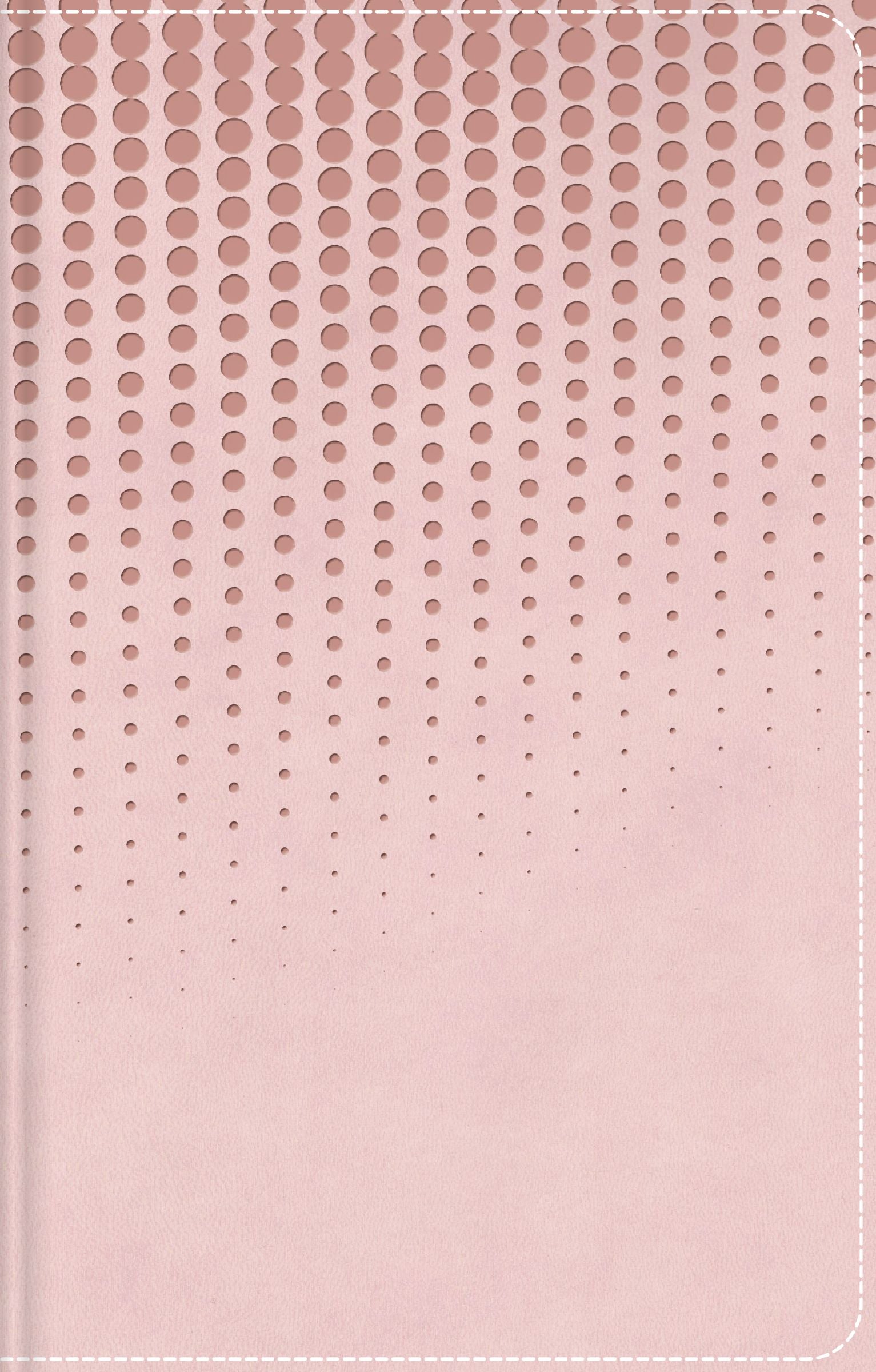 NASB Clear Focus Bible, Pink