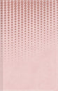 NASB Clear Focus Bible, Pink