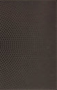 NASB Clear Focus Bible, Brown