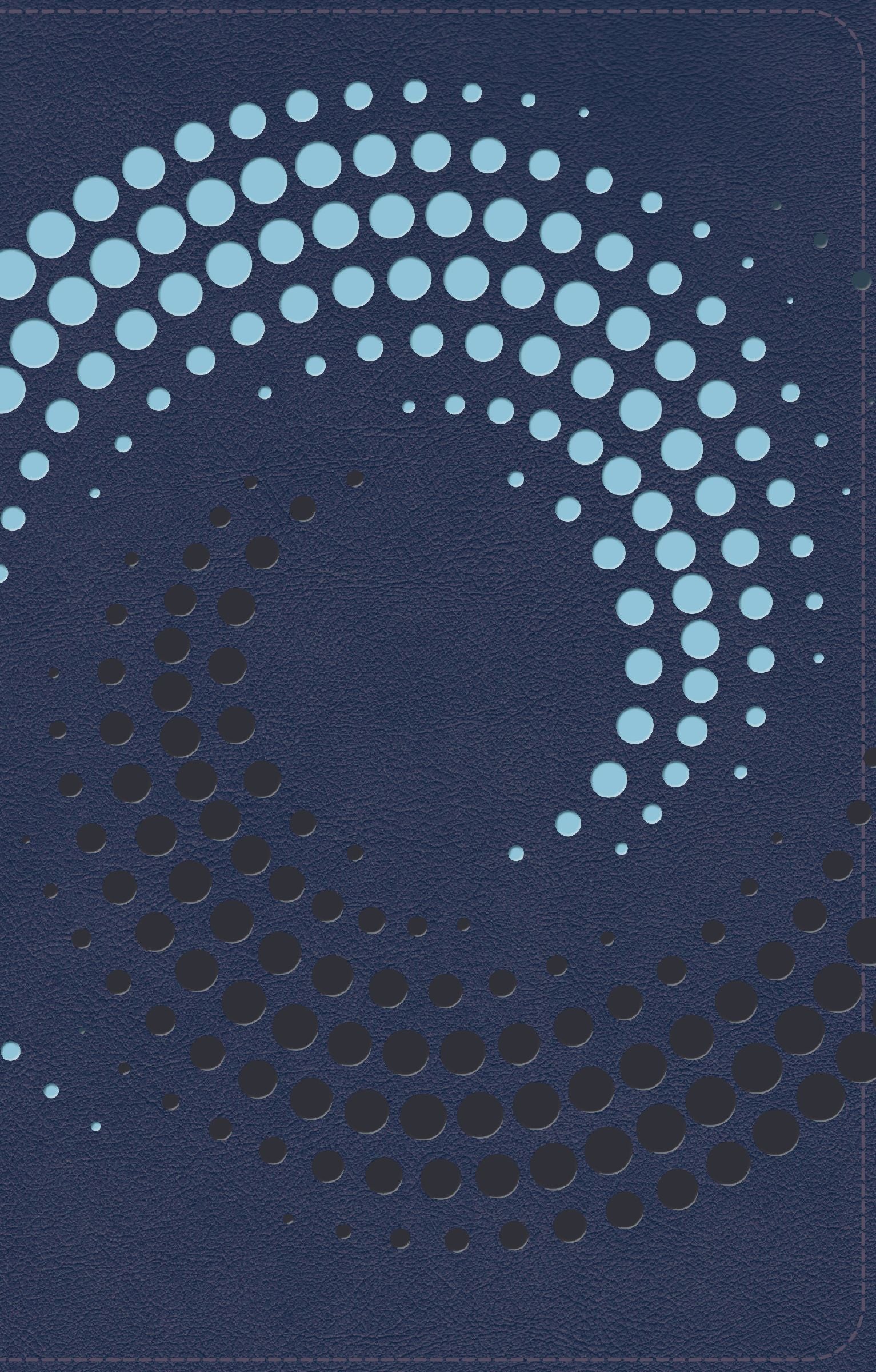 NIRV Clear Focus Bible, Navy