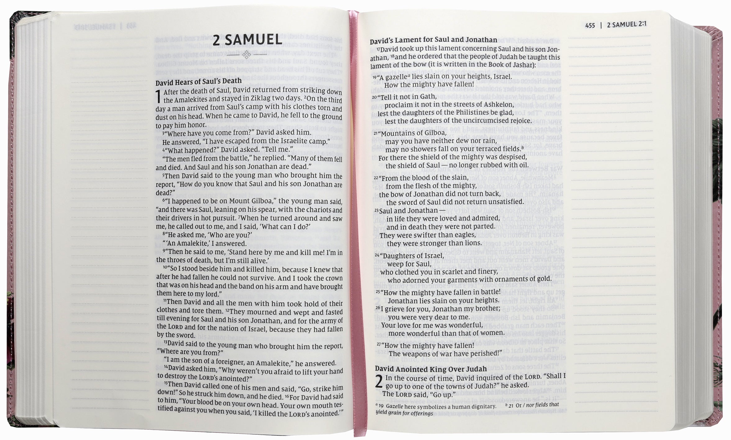 NIV, Artisan Collection Bible, Large Print, Blush Floral (Red Letter Edition)