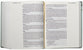 NIV, Artisan Collection Bible, Large Print, Sage Floral (Red Letter Edition)