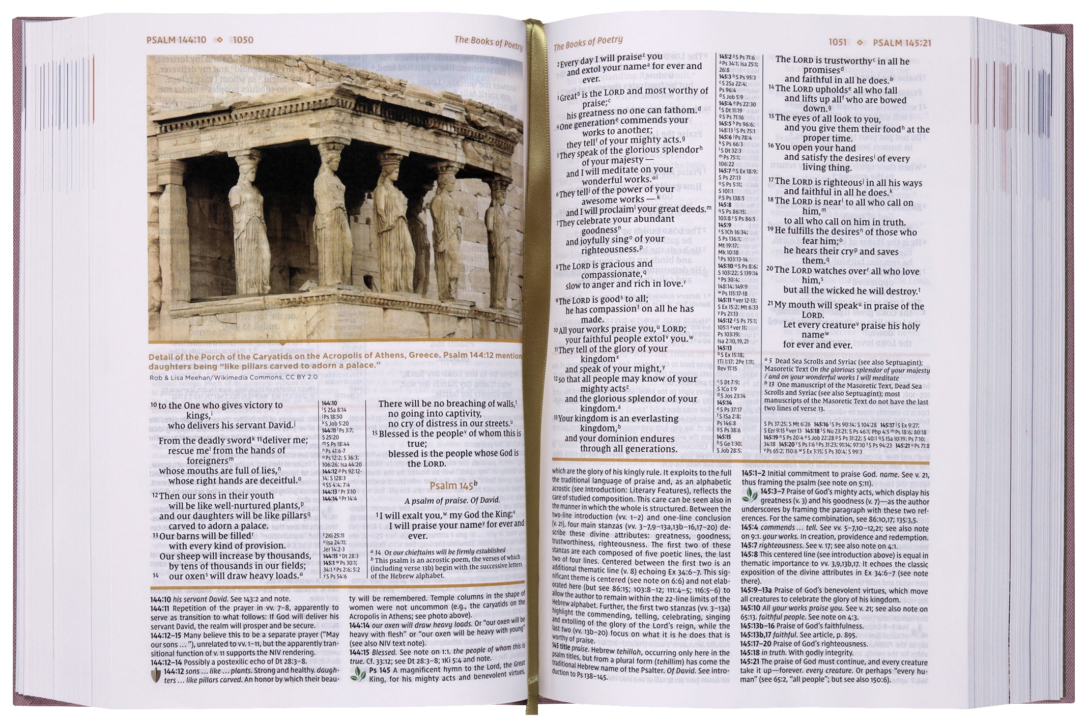 NIV Study Bible, Fully Revised Edition (Study Deeply. Believe Wholeheartedly), Pink (Red Letter Edition)