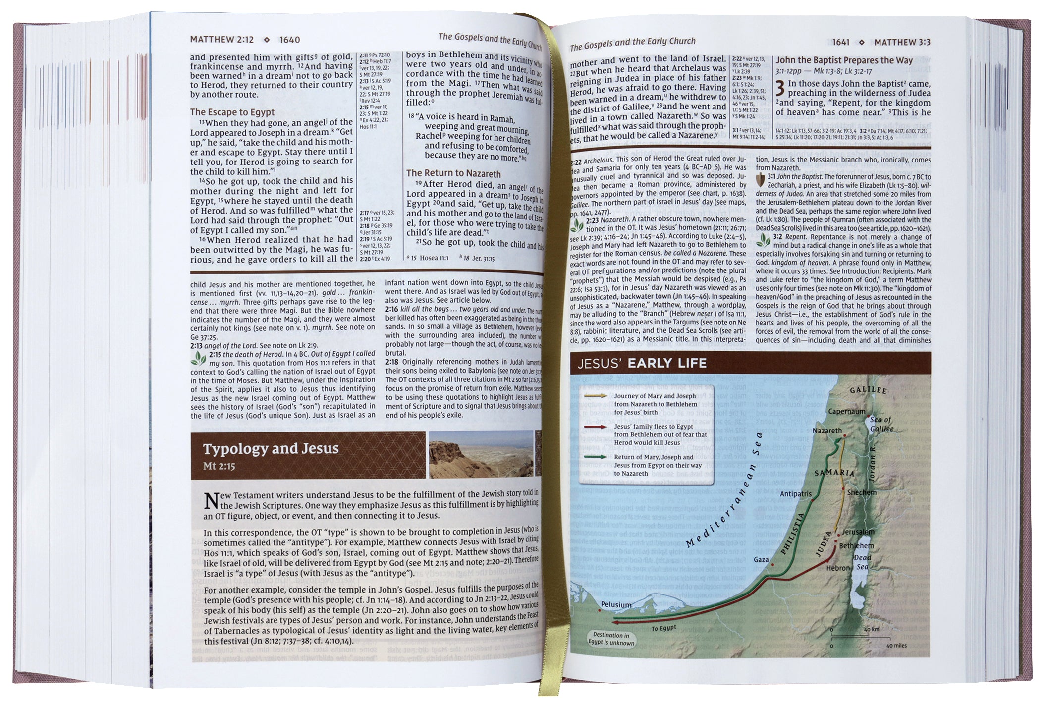 NIV Study Bible, Fully Revised Edition (Study Deeply. Believe Wholeheartedly), Pink (Red Letter Edition)