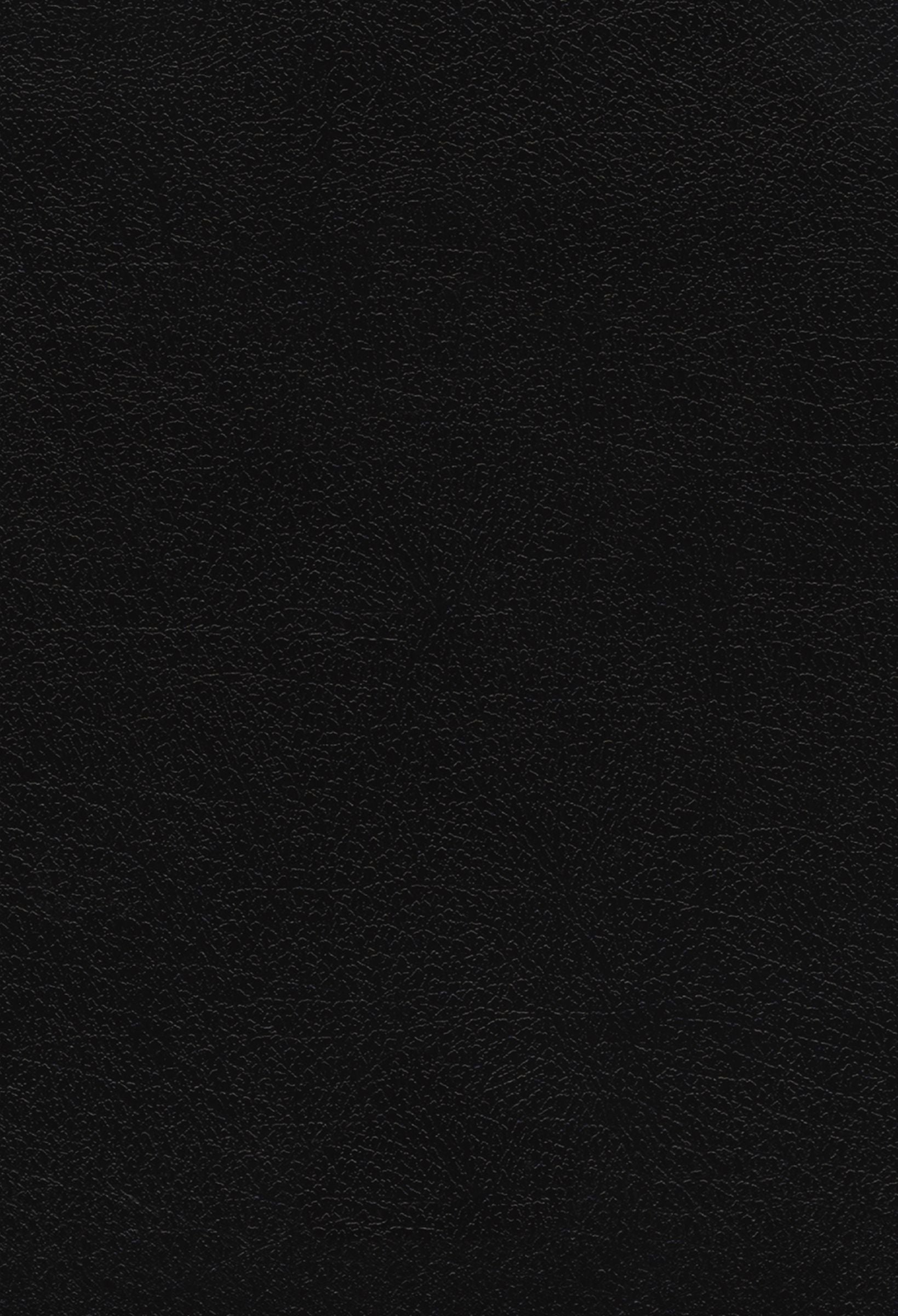 NIV, Quest Study Bible, Large Print, Black, Thumb Indexed