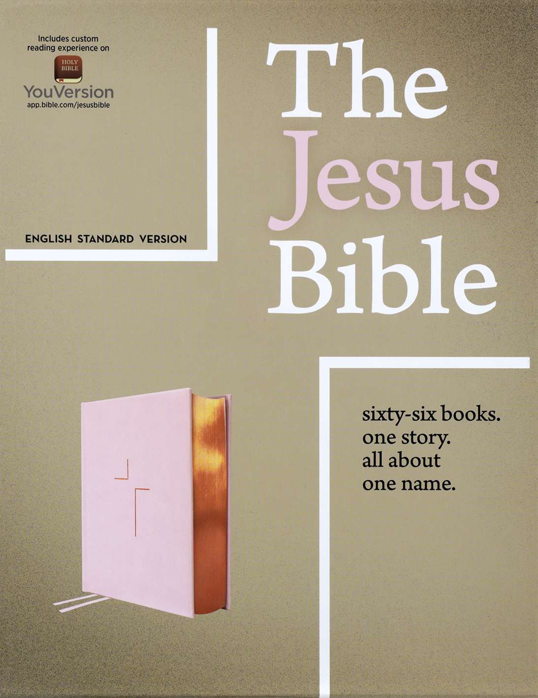 ESV The Jesus Bible, Pink