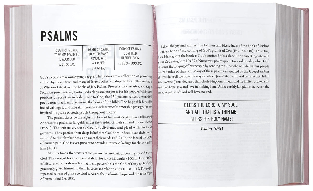 ESV The Jesus Bible, Pink