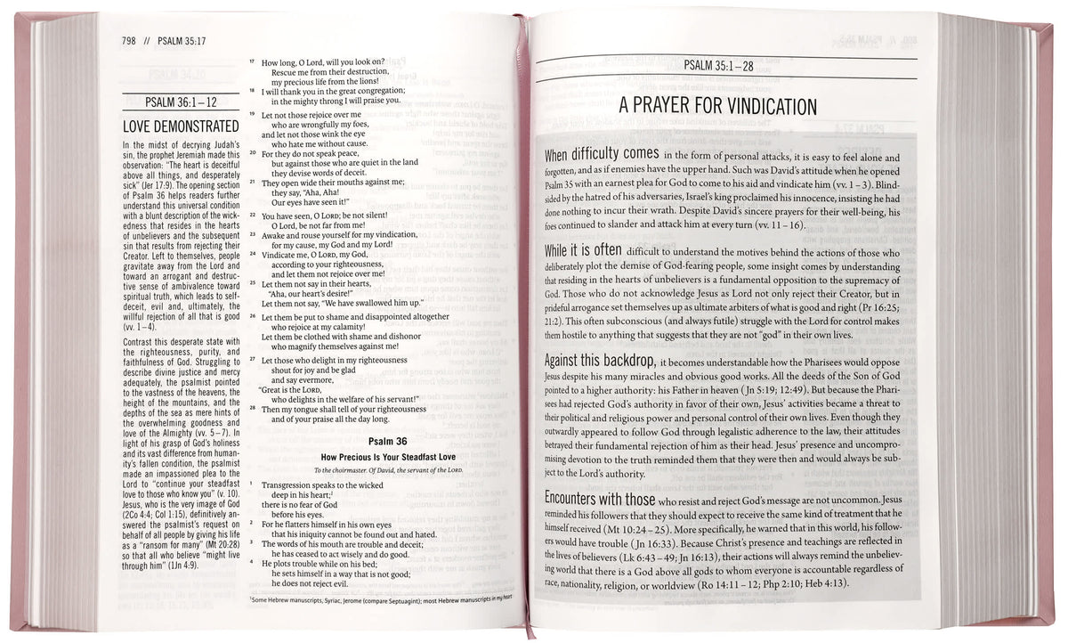 ESV The Jesus Bible, Pink