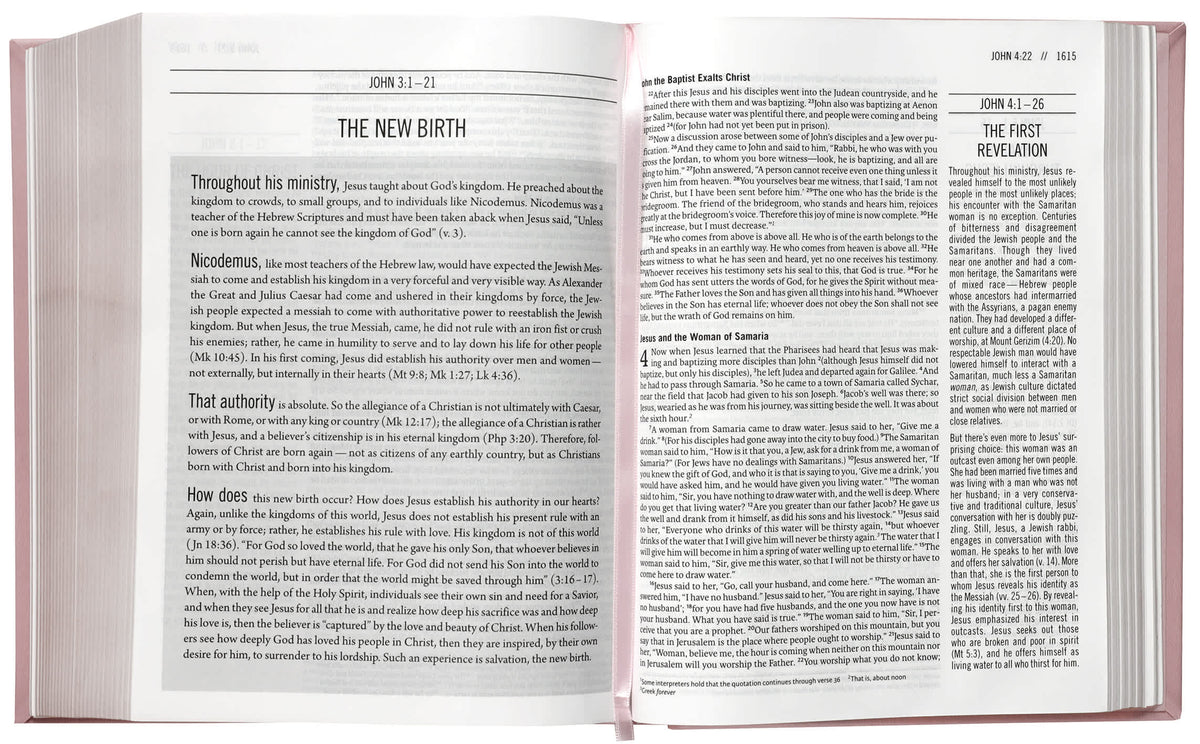 ESV The Jesus Bible, Pink