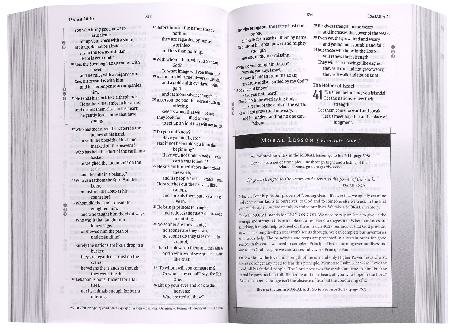 NIV Celebrate Recovery Study Bible (35th Anniversary Edition)