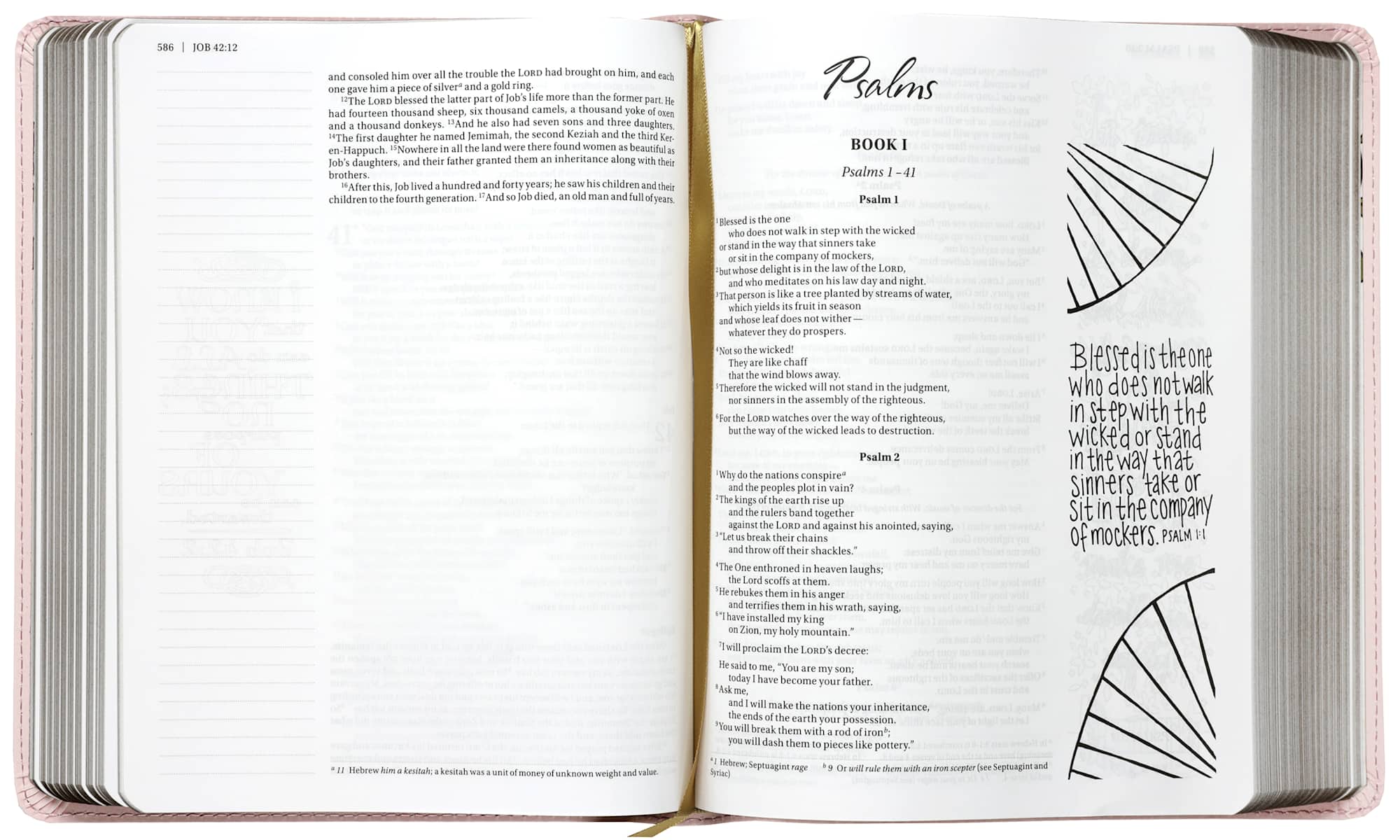 NIV Beautiful Word Coloring Bible, Pink (Black Letter Edition)