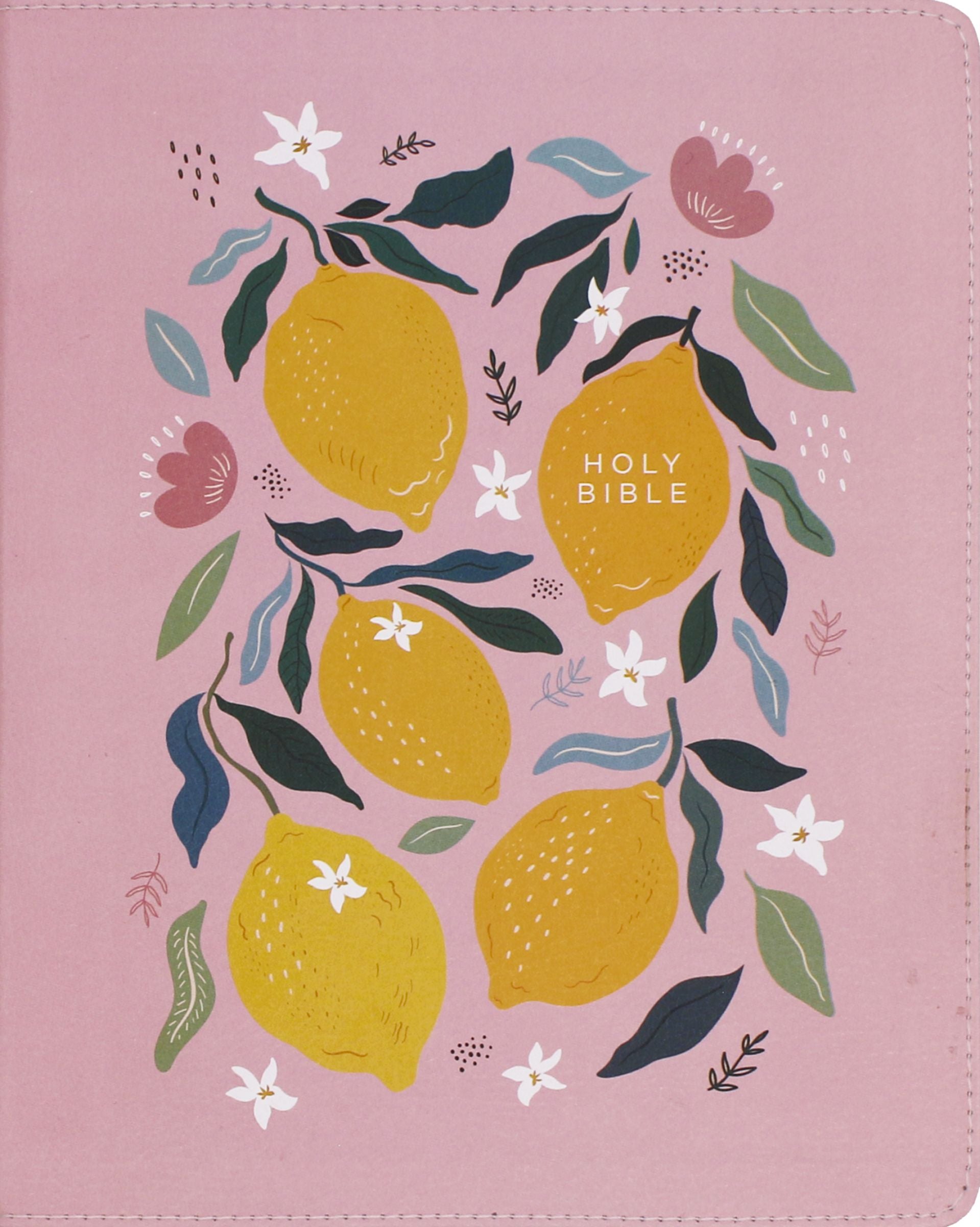 NIV Journal the Word Bible, Pink (Red Letter Edition)