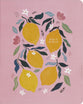 NIV Journal the Word Bible, Pink (Red Letter Edition)