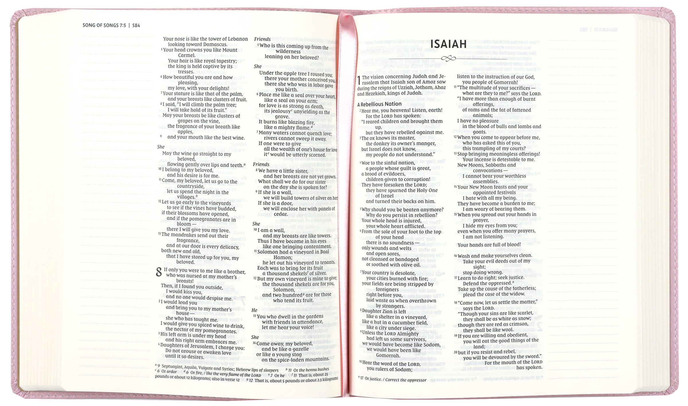 NIV Journal the Word Bible, Pink (Red Letter Edition)
